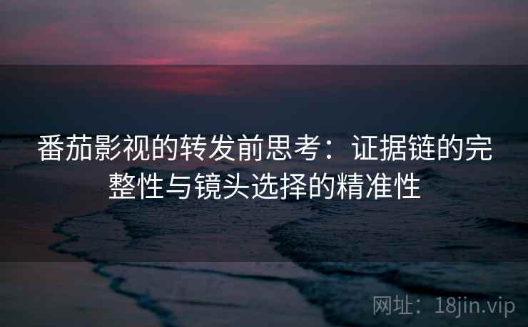 番茄影视的转发前思考：证据链的完整性与镜头选择的精准性