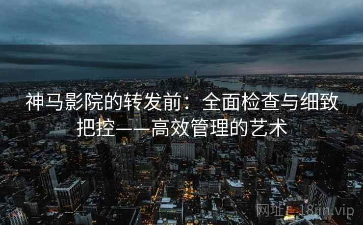 神马影院的转发前：全面检查与细致把控——高效管理的艺术